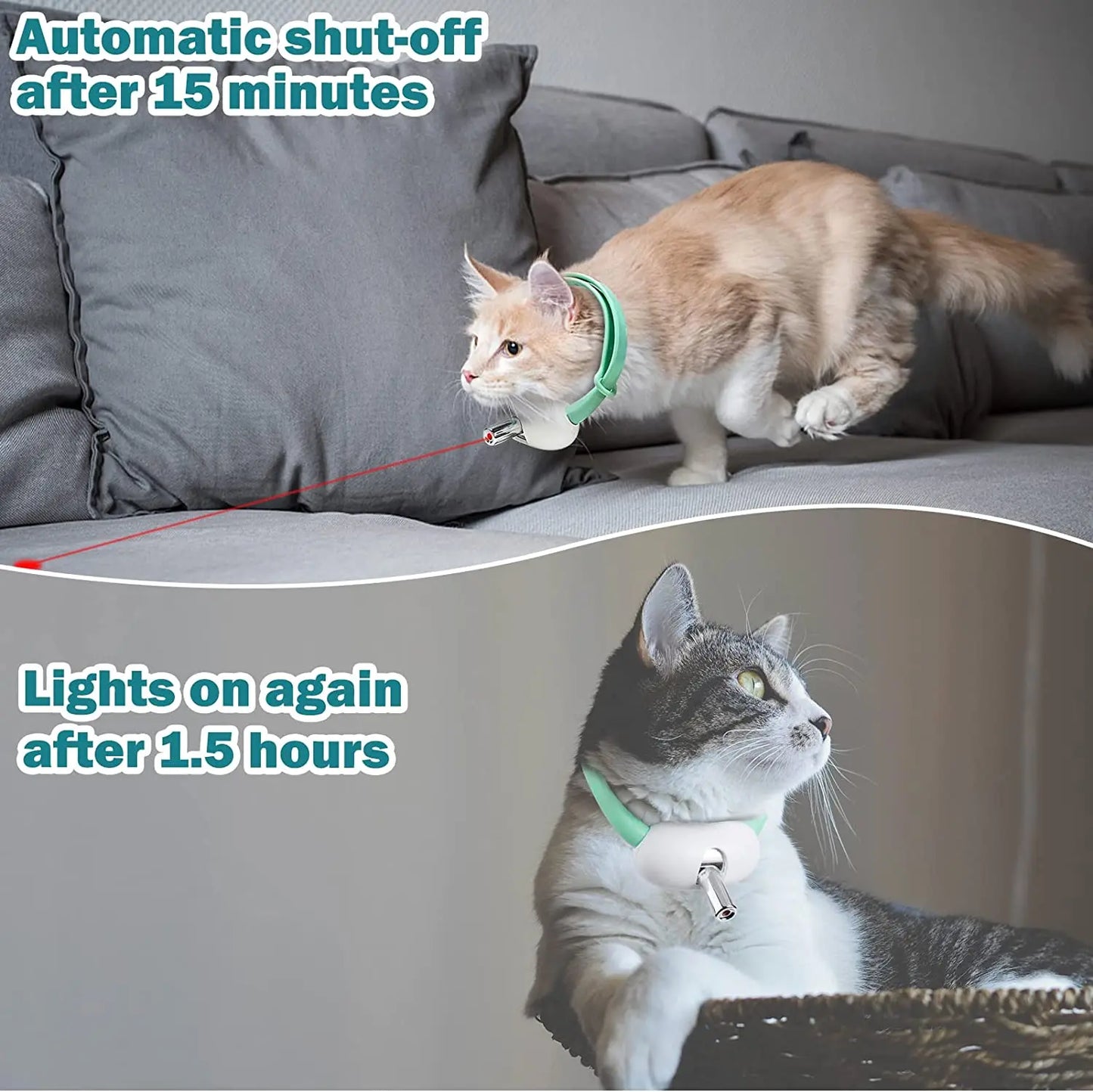 KattJakt