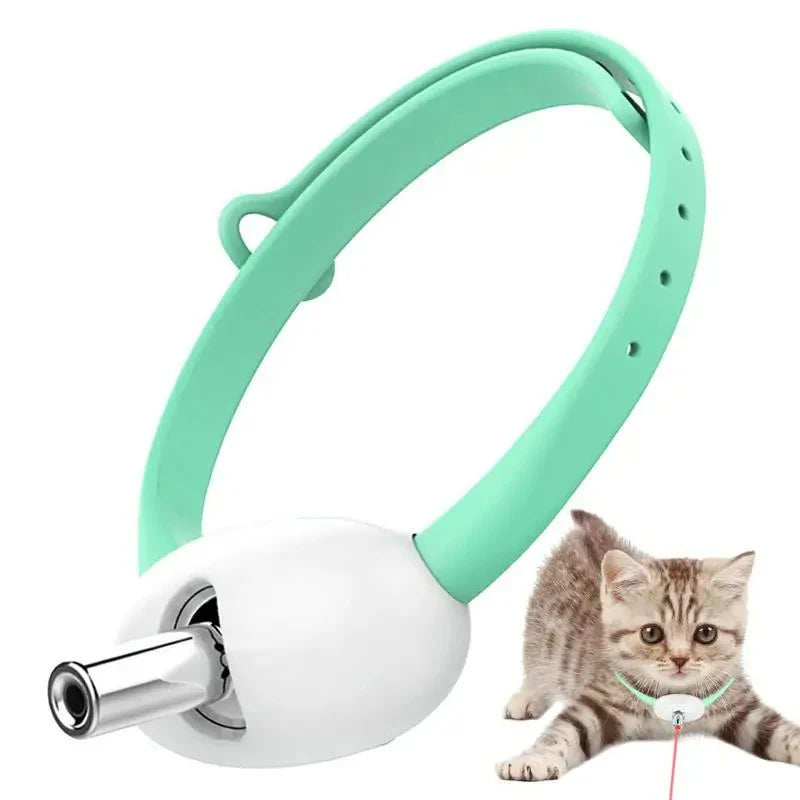 KattJakt