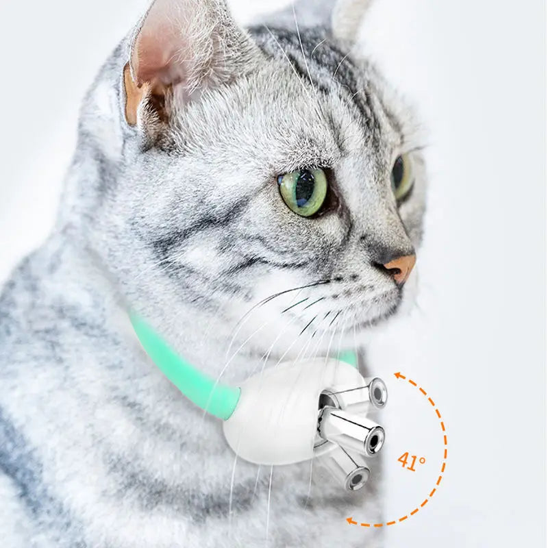 KattJakt