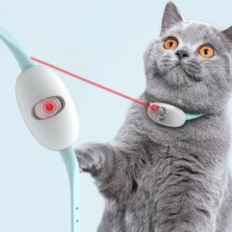 KattJakt