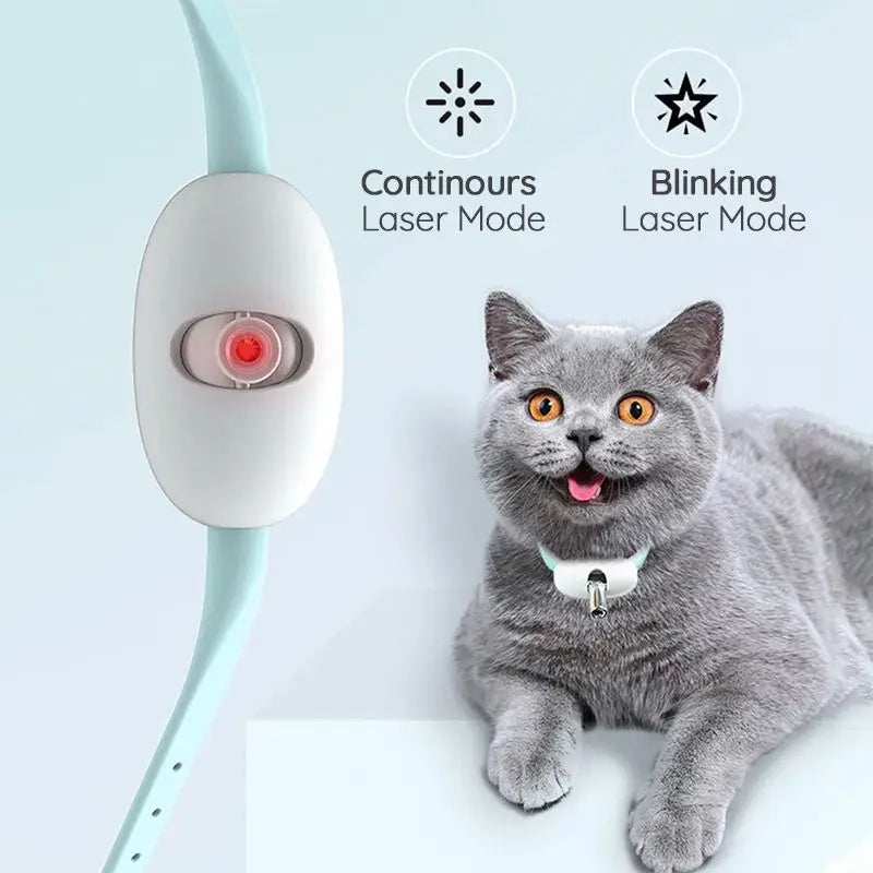 KattJakt